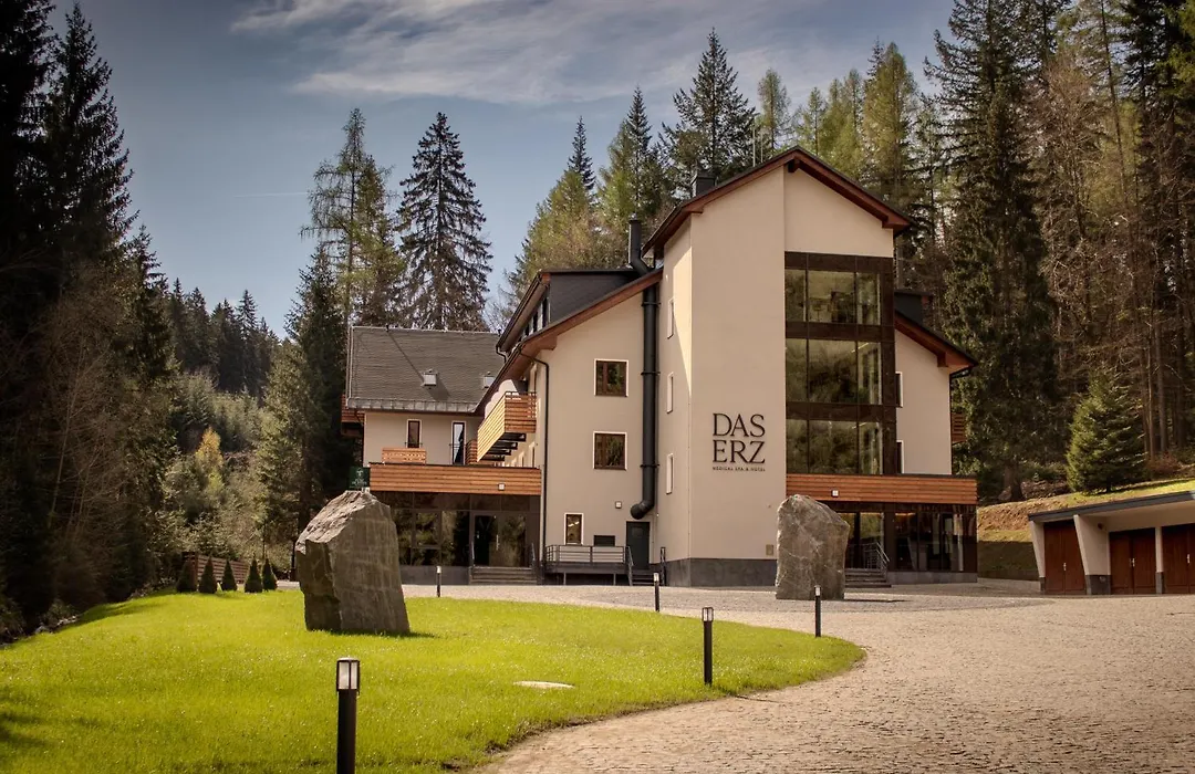 Das Erz Medical Spa & Hotel-1