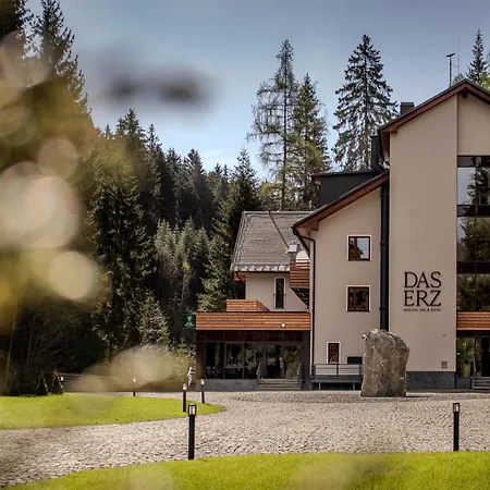 Das Erz Medical Spa & Hotel-3